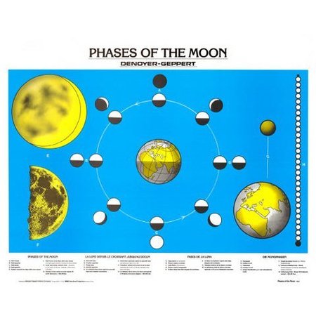 DENOYER-GEPPERT Charts/Posters, Moon Phases Chart Mounted 1943-10